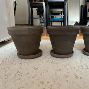 Terracotta Plant Pots